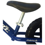Bici Monzó Azul   M1 EVA